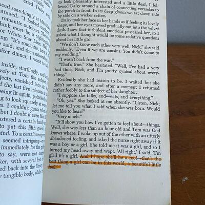 The Great Gatsby F. Scott Fitzgerald Paperback Classic Novel