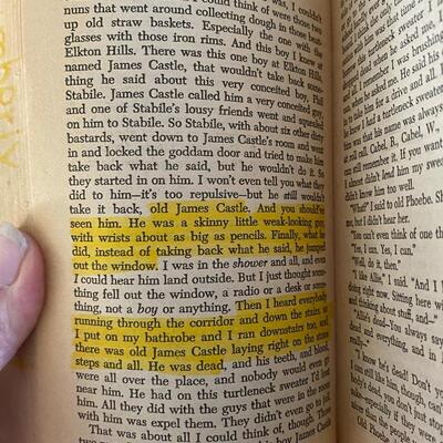 The Catcher in the Rye J.D. Salinger Paperback