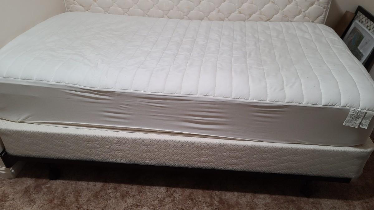 Twin bed, box spring, & metal frame