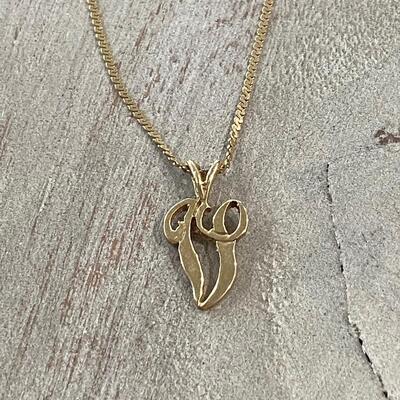 14k Yellow Gold V Initial Charm Pendant with Necklace