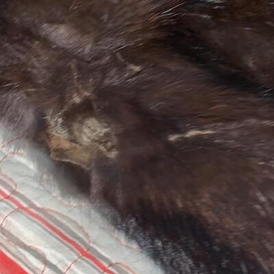 Vintage Kerrybrooke  fur coat Mink?? S/M