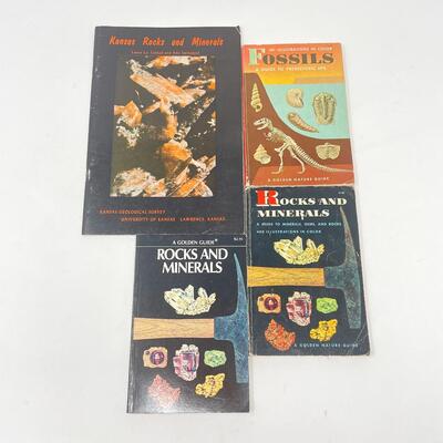 ROCKS, MINERALS, & FOSSILS BOOK BUNDLE