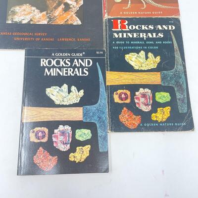 ROCKS, MINERALS, & FOSSILS BOOK BUNDLE