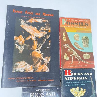 ROCKS, MINERALS, & FOSSILS BOOK BUNDLE