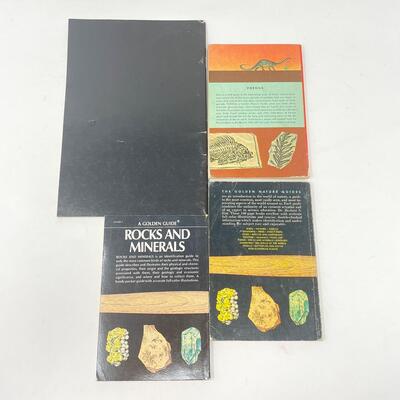 ROCKS, MINERALS, & FOSSILS BOOK BUNDLE