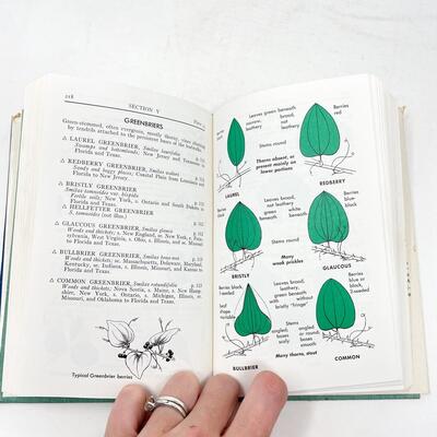 1958 â€œA FIELD GUIDE TO TREES AND SHRUBSâ€ BY GEORGE A. PETRIDES HARDBACK BOOK - THIRD PRINTING