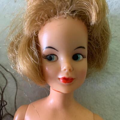 Tammy doll 1965 and Barbie clone