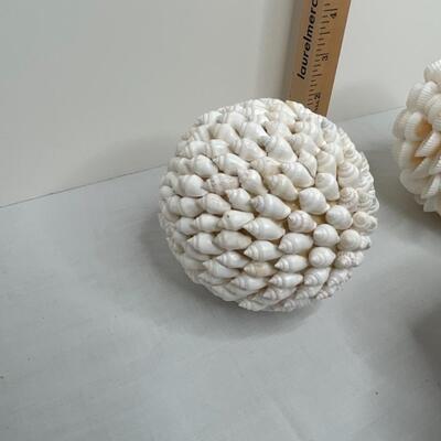 Shells