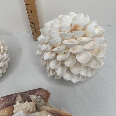 Shells