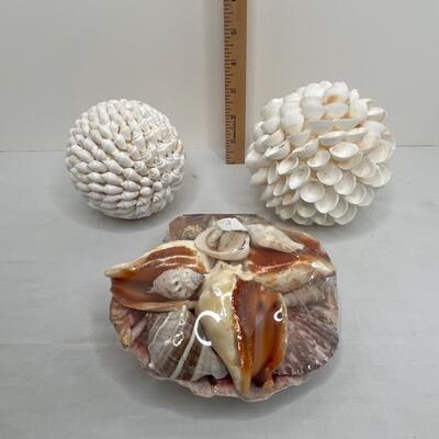 Shells