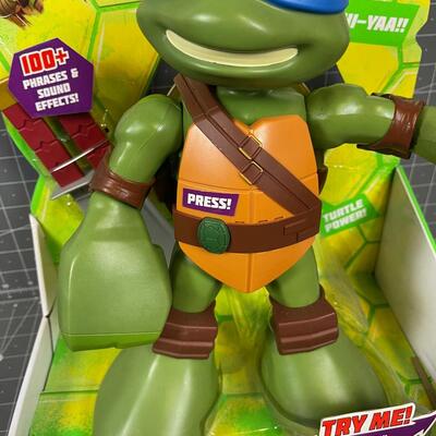 Teenage Mutant Ninja Turtles 