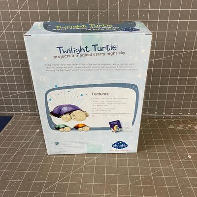 Twilight Turtle 