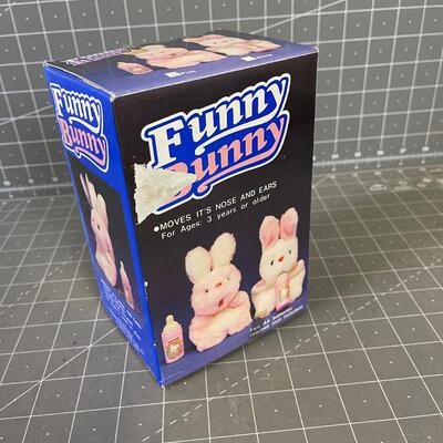 Funny Bunny 