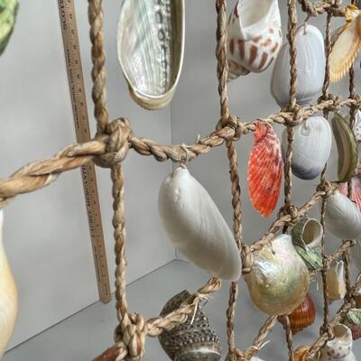 Shell Curtain