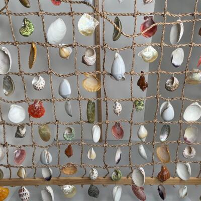 Shell Curtain