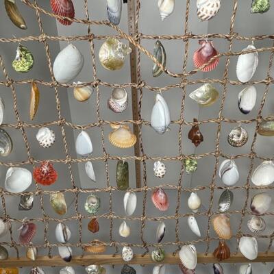 Shell Curtain