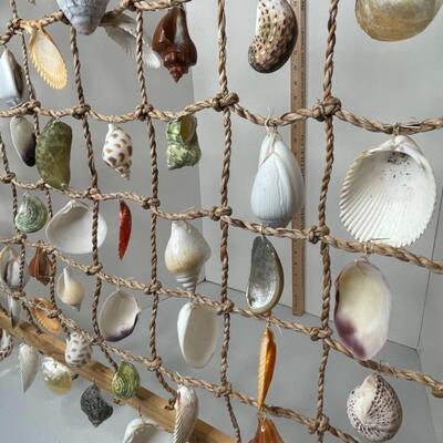 Shell Curtain