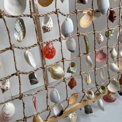 Shell Curtain