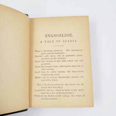 EVANGELINE A TALE OF ACADIA BY HENRY WADSWORTH LONGFELLOW HARDCOVER
