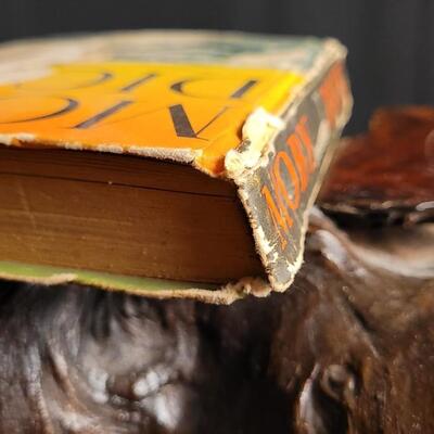 Lot 82: Vintage 1934 MOBY DICK by The Big Little Book Co.