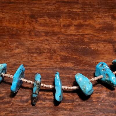 Lot 101: Beautiful Santo Domingo Kewa Pueblo Royston Turquoise and Shell Heishi Bead Necklace