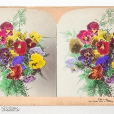 STEREOVIEW - BEAUTIFUL HAND COLORED