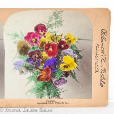STEREOVIEW - BEAUTIFUL HAND COLORED