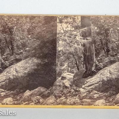 1870s - CALIFORNIA STEREOVIEW BY LAWRENCE & HOUSEWORTH