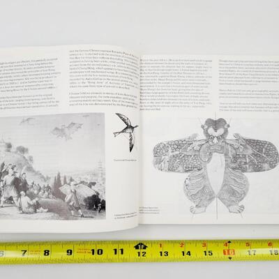 KITES BY DAVID PELHAM PAPERBACK