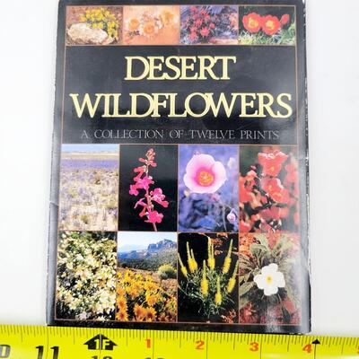 BEAUTIFUL POST CARD SETS