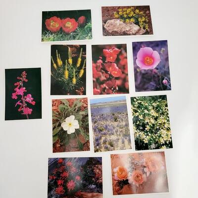 BEAUTIFUL POST CARD SETS