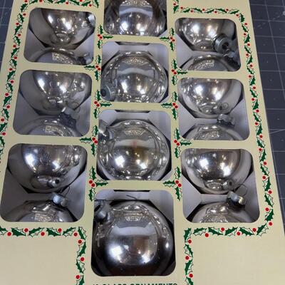 2 Holy Silver Bulb Glass 12 Each Box 