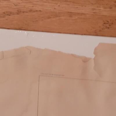 Lot 184: Antique Julius Bien Lithograph for US Geological Survey #2