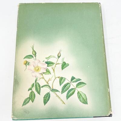 1960 â€œTHE MACMILLAN WILDFLOWER BOOKâ€ HARDBACK - AMAZING ILLUSTRATIONS!