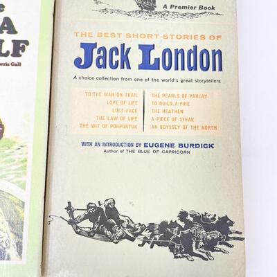 VINTAGE JACK LONDON BOOK BUNDLE