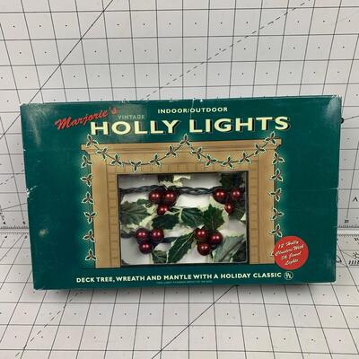 #22 Restoration Hardware Holly Lights in Box