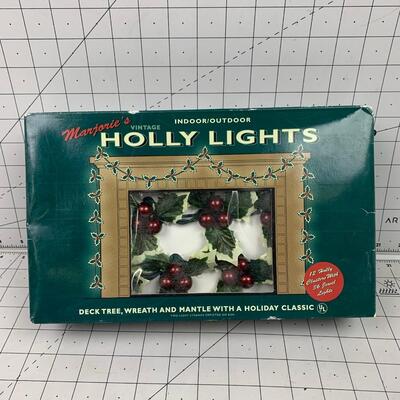#23 Restoration Hardware Holly Lights in Box