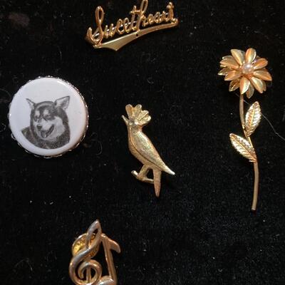 Mixed Brooch Pin Lot with Flower, Bird, Music and more...
