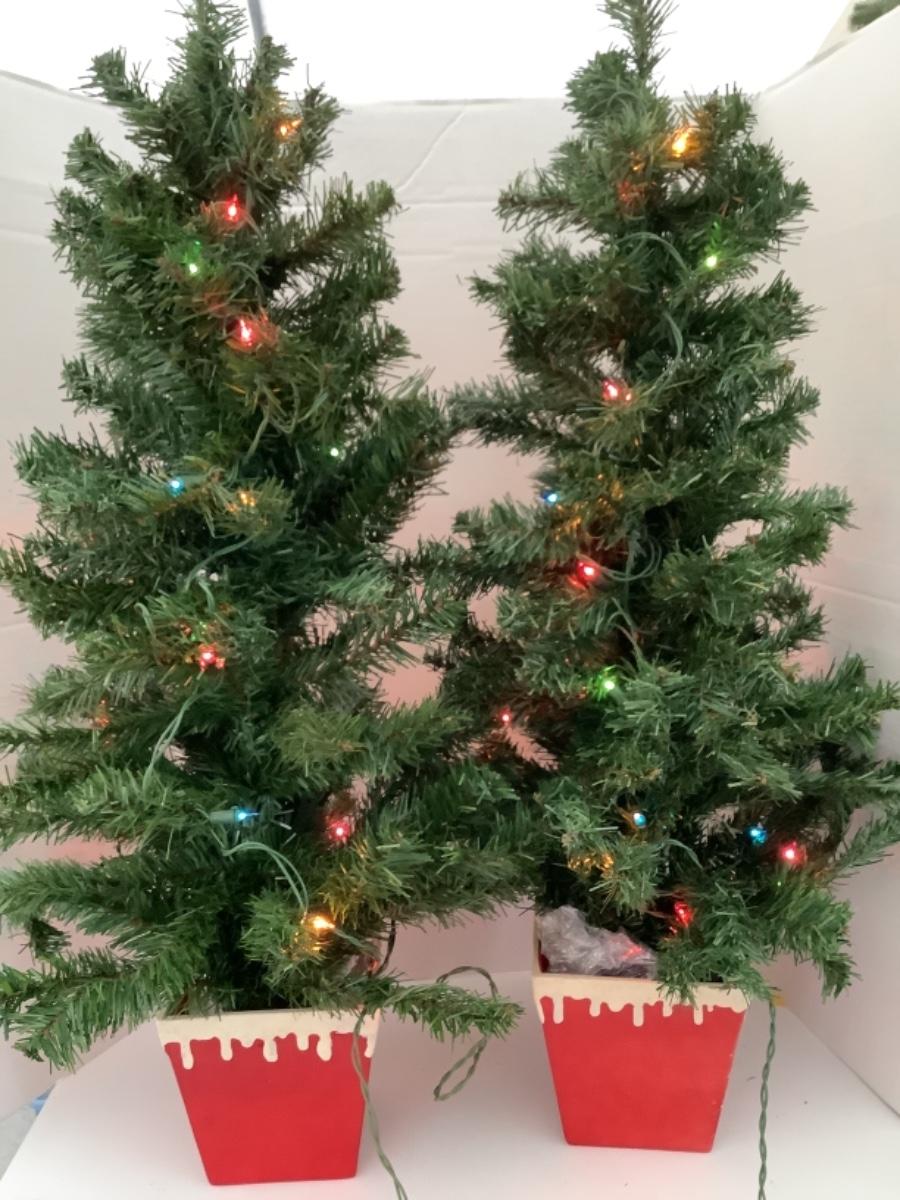 T158 Pair of 3’ PreLit Christmas Trees in Ceramic Snow Pots