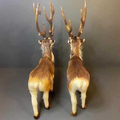 Lot 479: Furry Decor Animals