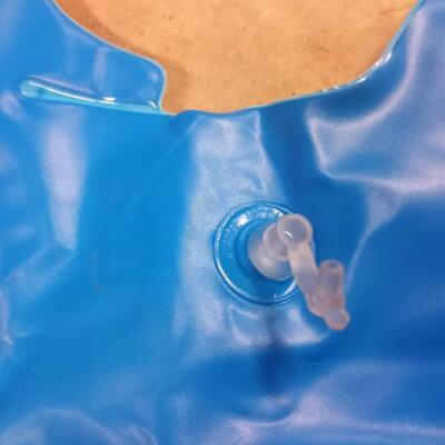 large inflatable fish