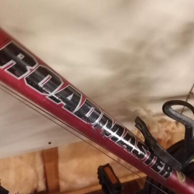 Roadmaster bike