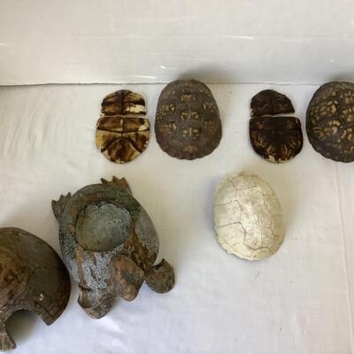 A - 337  Lot of Tortoise Shells and Turtle Decor