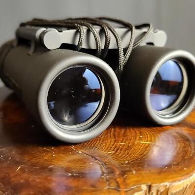 Lot 13: Vintage CELESTRON Up Close 10x25 Binoculars