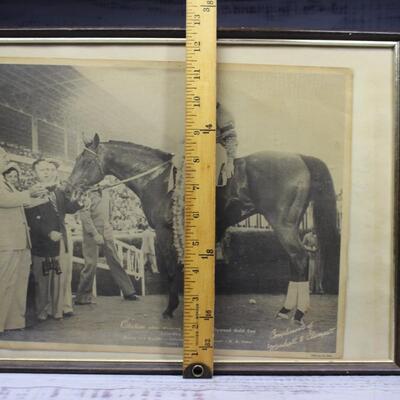 Vintage Framed Photograph Print of the Racehorse Citation After Winning the Hollywood Gold Cup by Vic Stein