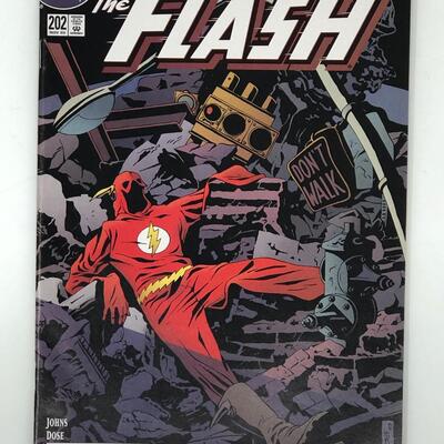 DC, Whatever Happened to the FLASH, #202