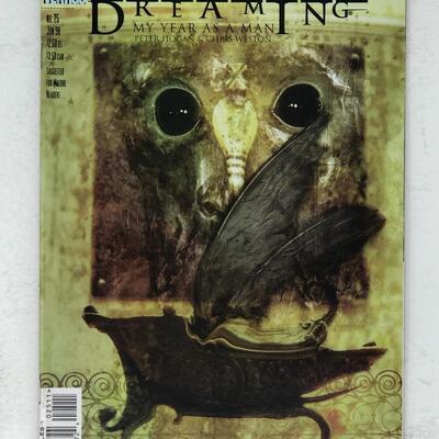 DC Vertigo, Dreaming, #25