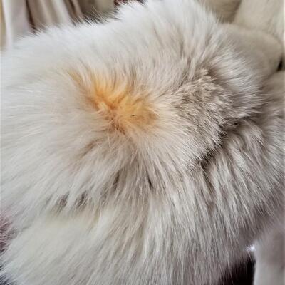 Lot #202  Shadow Silver/Blue Fox Coat - size 6-10