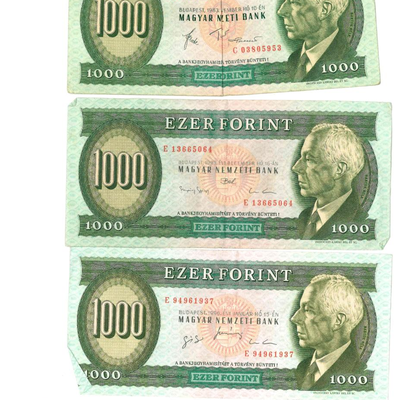 Box F52 - International Money Bills and Coins - Hungarian