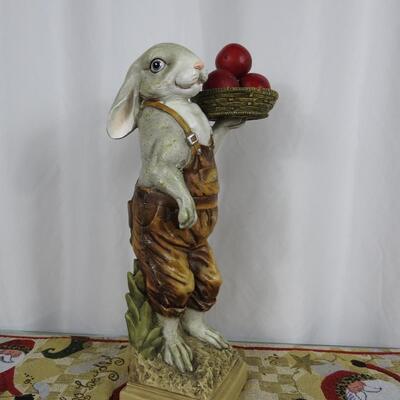 Mr Bunny